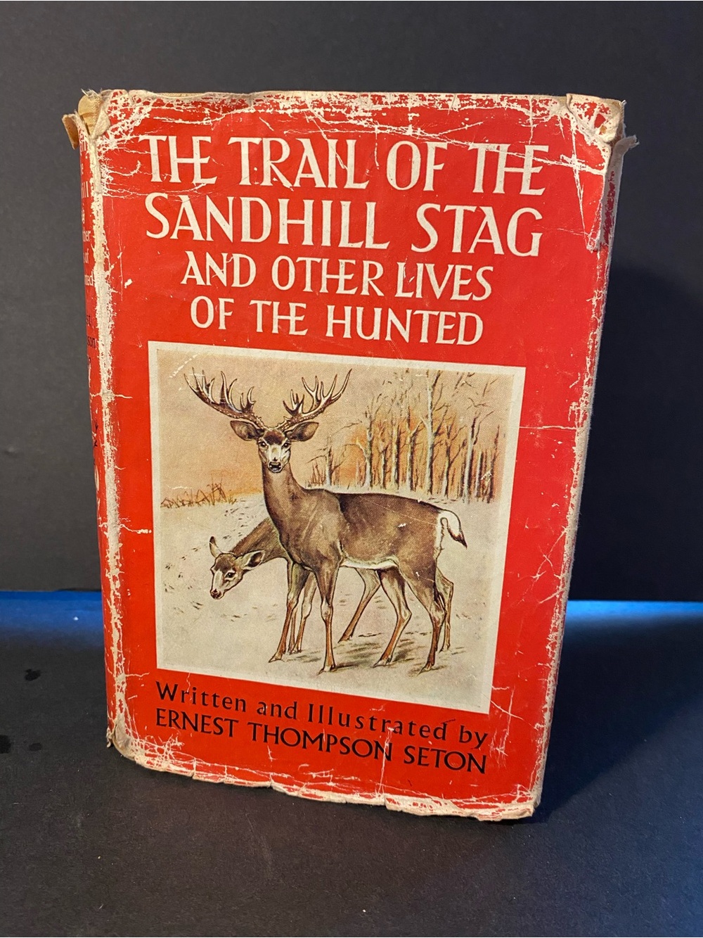 The Trail of the Sandhill Stag Hardback by Ernest Thompson Seton 1st Edition